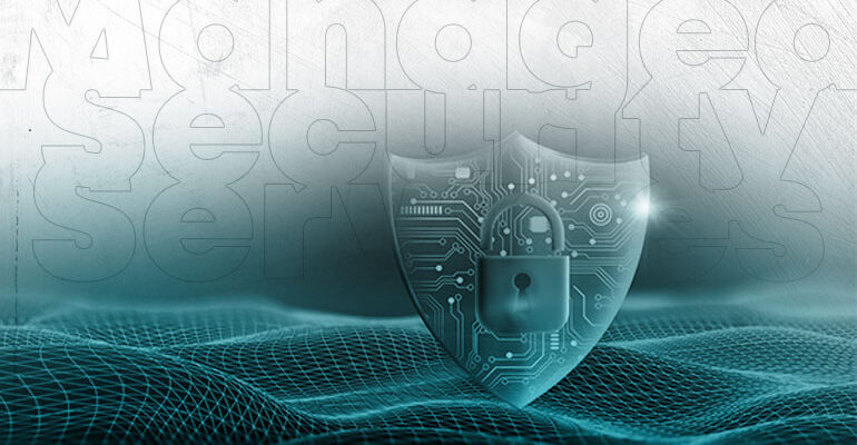 Blog 3 - Managed Security Services